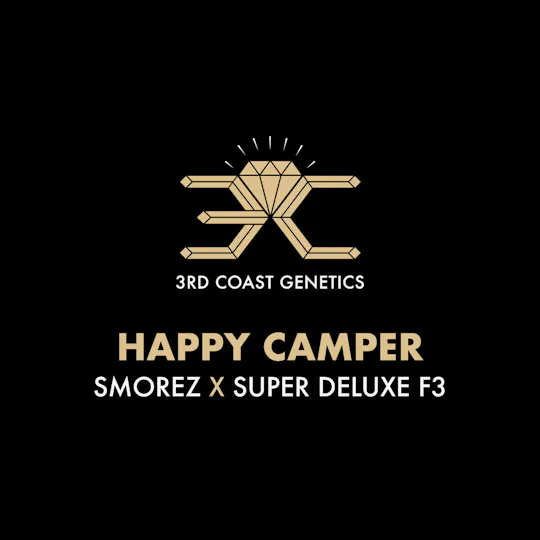 3rd Coast Genetics - 3rd Coast Genetics | Happy Camper | Seeds | 10pk - 1