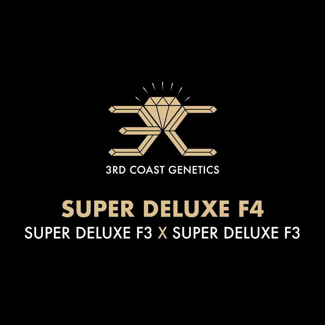 3rd Coast Genetics - 3rd Coast Genetics | Super Deluxe F4 | Seeds | 10pk - 1