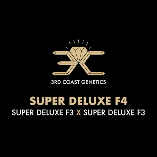 3rd Coast Genetics - 3rd Coast Genetics | Super Deluxe F4 | Seeds | 10pk - 1