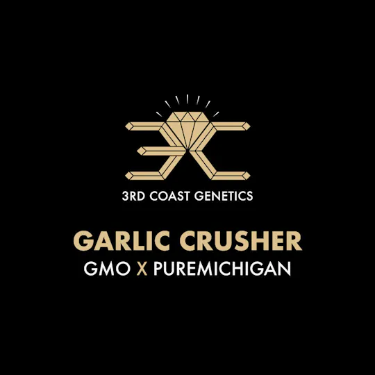 3rd Coast Genetics - 3rd Coast Genetics | Garlic Crusher | Seeds | 10pk - 1