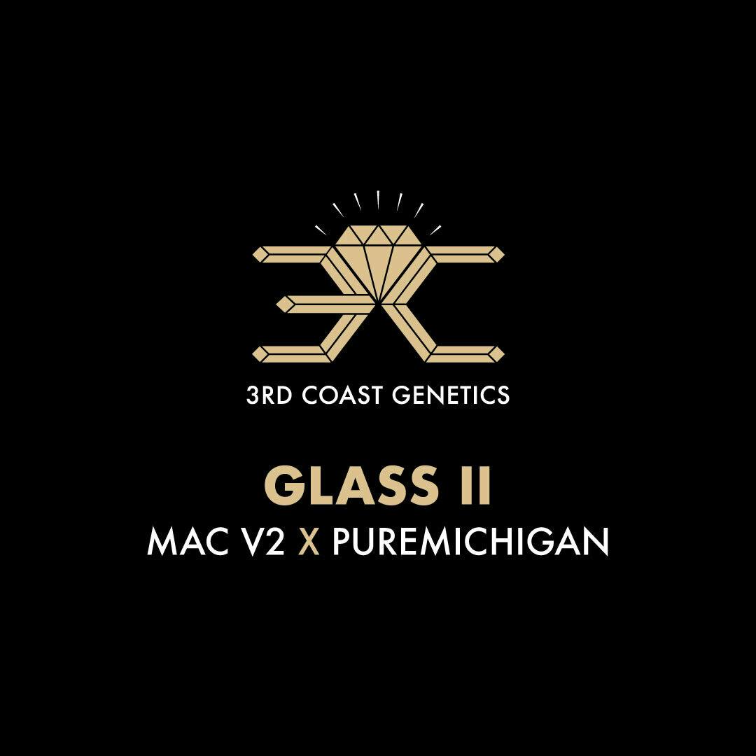 3rd Coast Genetics - 3rd Coast Genetics | Glass II | Seeds | 10pk - 1