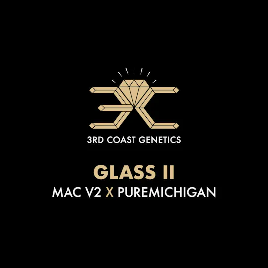 3rd Coast Genetics - 3rd Coast Genetics | Glass II | Seeds | 10pk - 1
