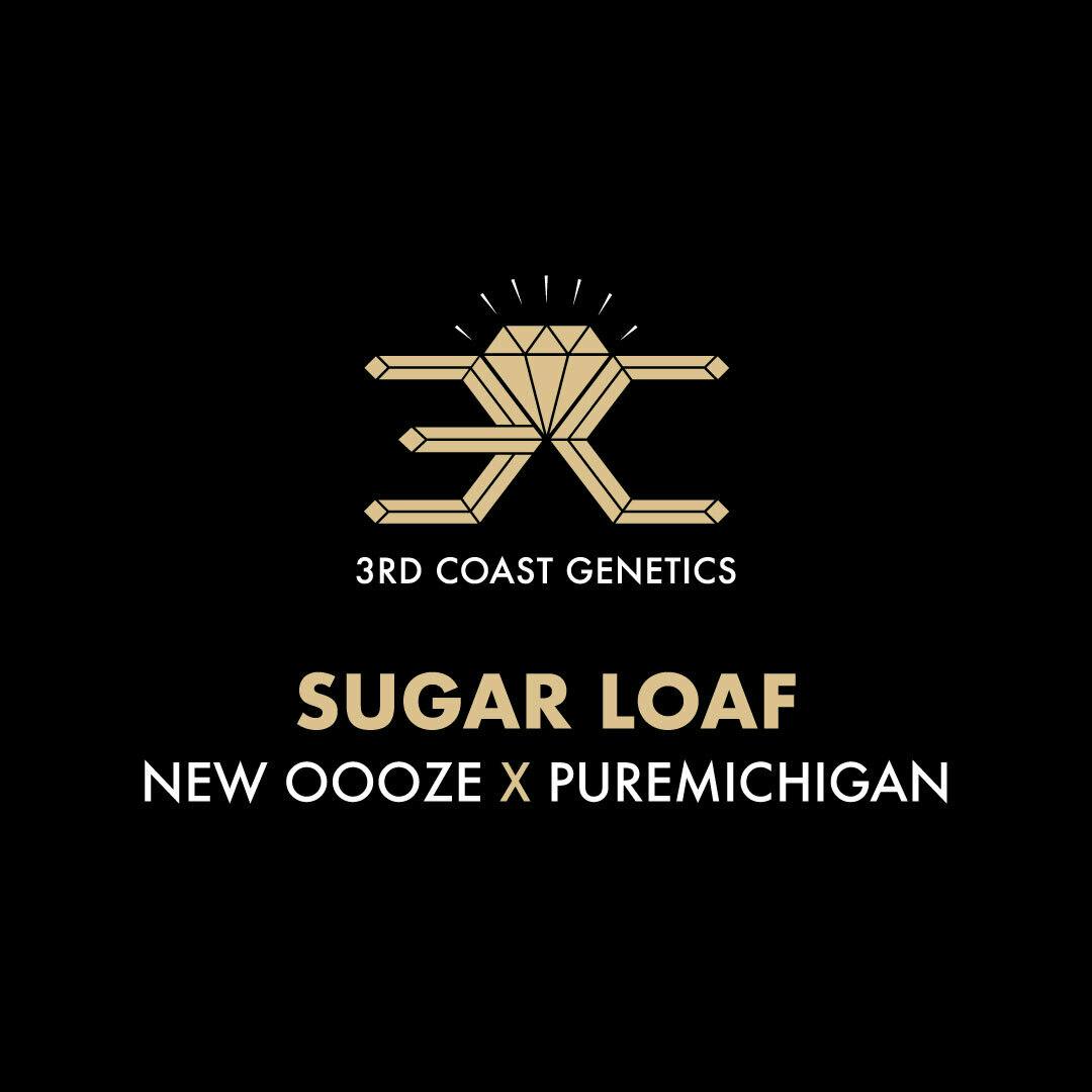 3rd Coast Genetics - 3rd Coast Genetics | Sugar Loaf | Seeds | 10pk - 1
