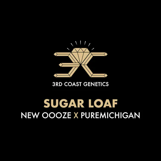 3rd Coast Genetics - 3rd Coast Genetics | Sugar Loaf | Seeds | 10pk - 1