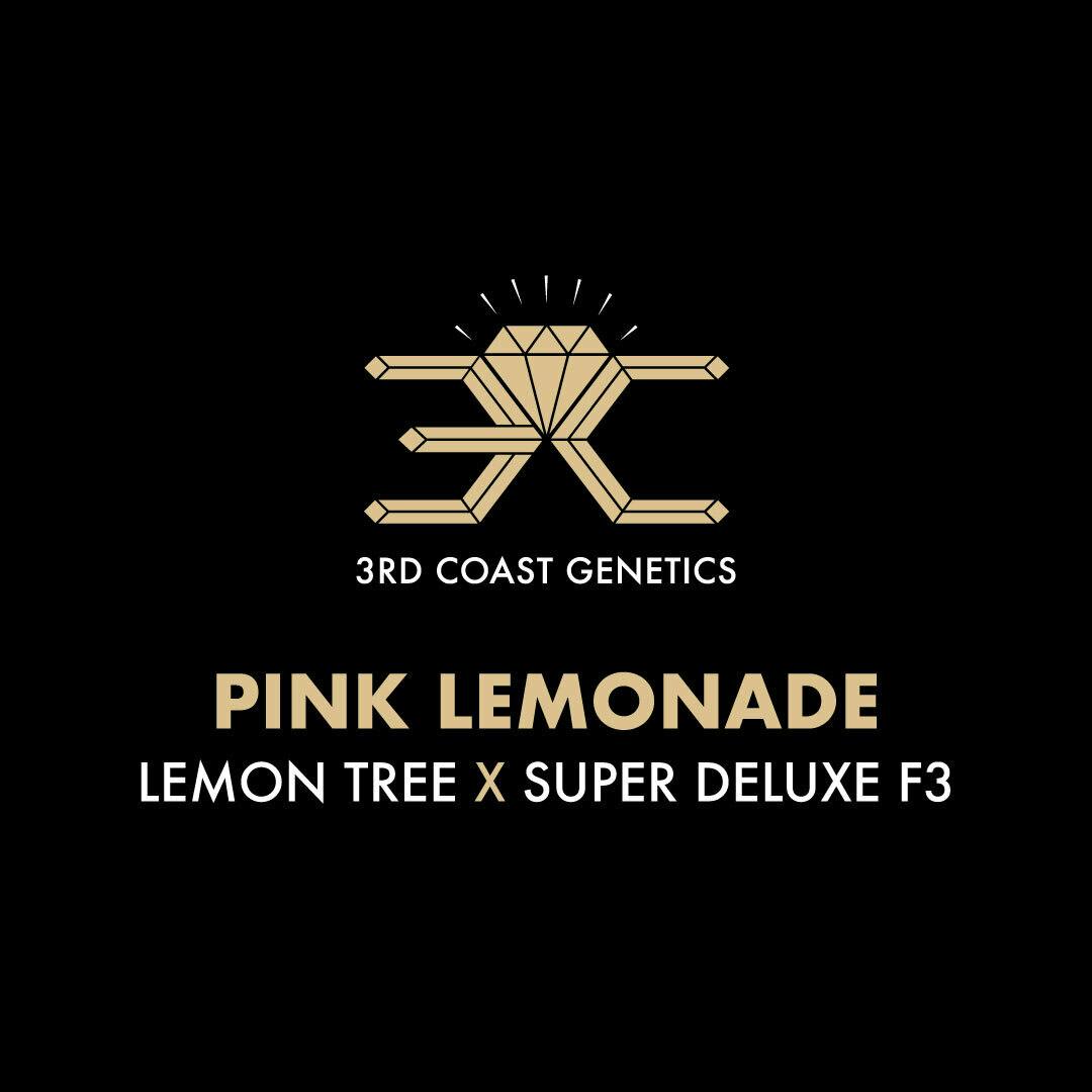 3rd Coast Genetics - 3rd Coast Genetics | Pink Lemonade | Seeds | 10pk - 1
