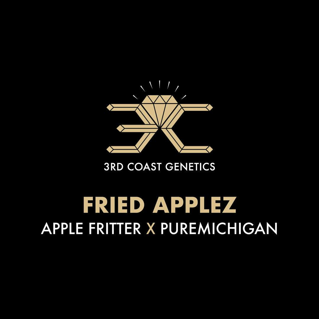 3rd Coast Genetics - 3rd Coast Genetics | Fried Applez | Seeds | 10pk - 1