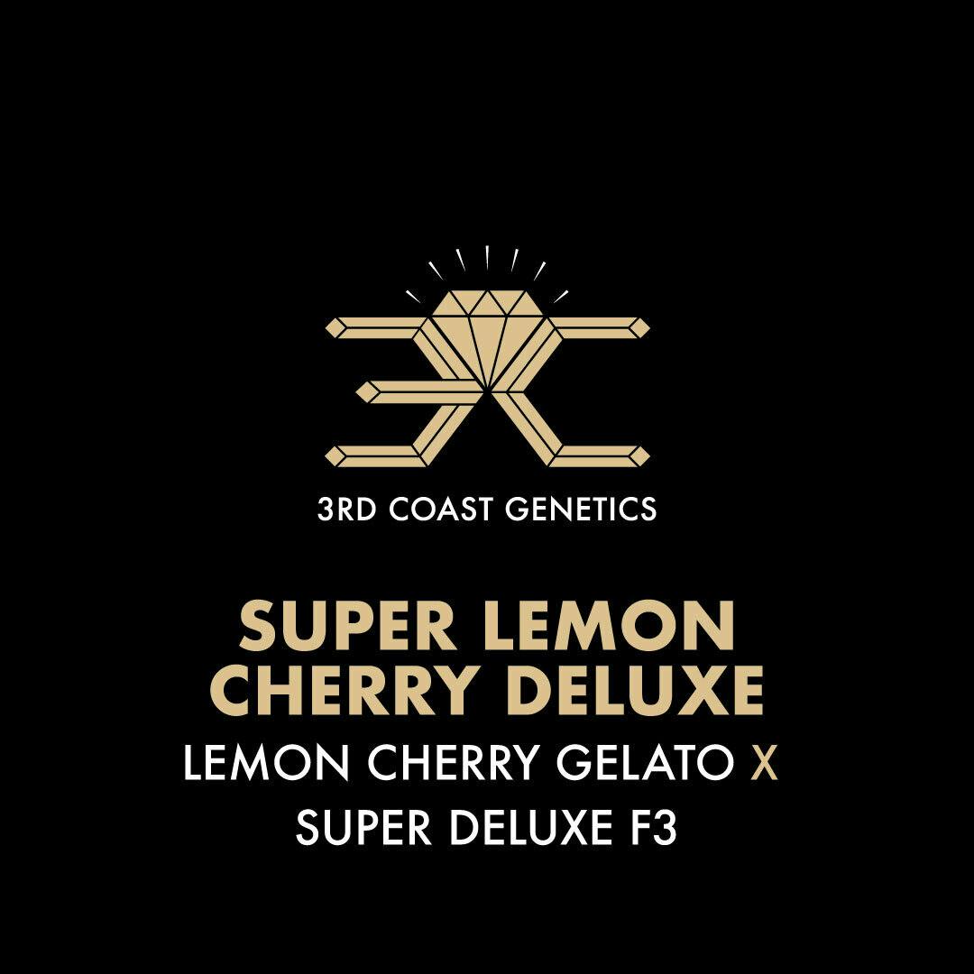 3rd Coast Genetics - 3rd Coast Genetics | Super Lemon Cherry Deluxe | Seeds | 10pk - 1
