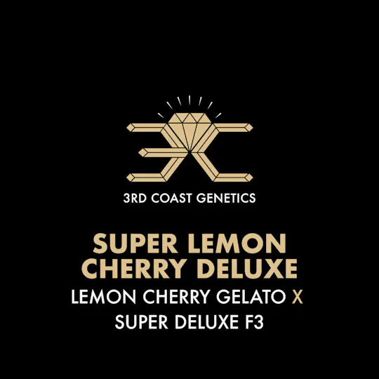3rd Coast Genetics - 3rd Coast Genetics | Super Lemon Cherry Deluxe | Seeds | 10pk - 1