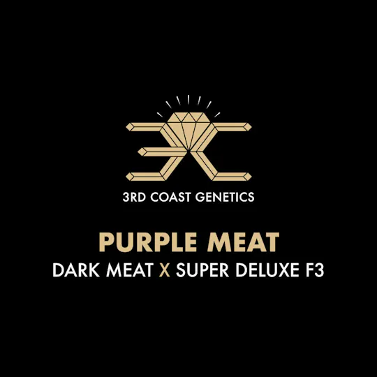 3rd Coast Genetics - 3rd Coast Genetics | Purple Meat | Seeds | 10pk - 1