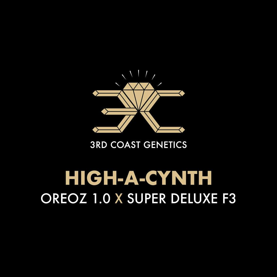 3rd Coast Genetics - 3rd Coast Genetics | High-A-Cinth | Seeds | 10pk - 1
