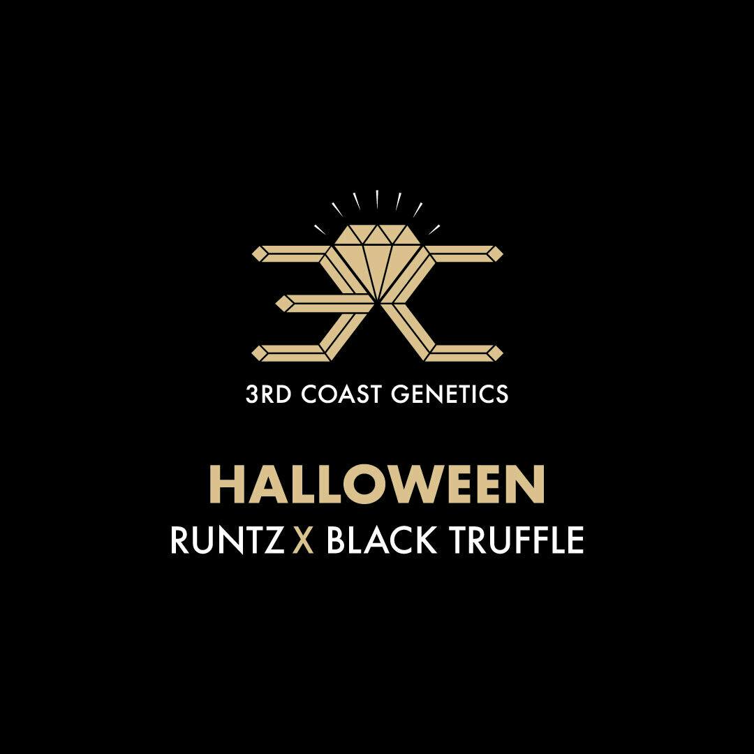 3rd Coast Genetics - 3rd Coast Genetics | Halloween | Seeds | 10pk - 1