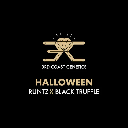 3rd Coast Genetics - 3rd Coast Genetics | Halloween | Seeds | 10pk - 1
