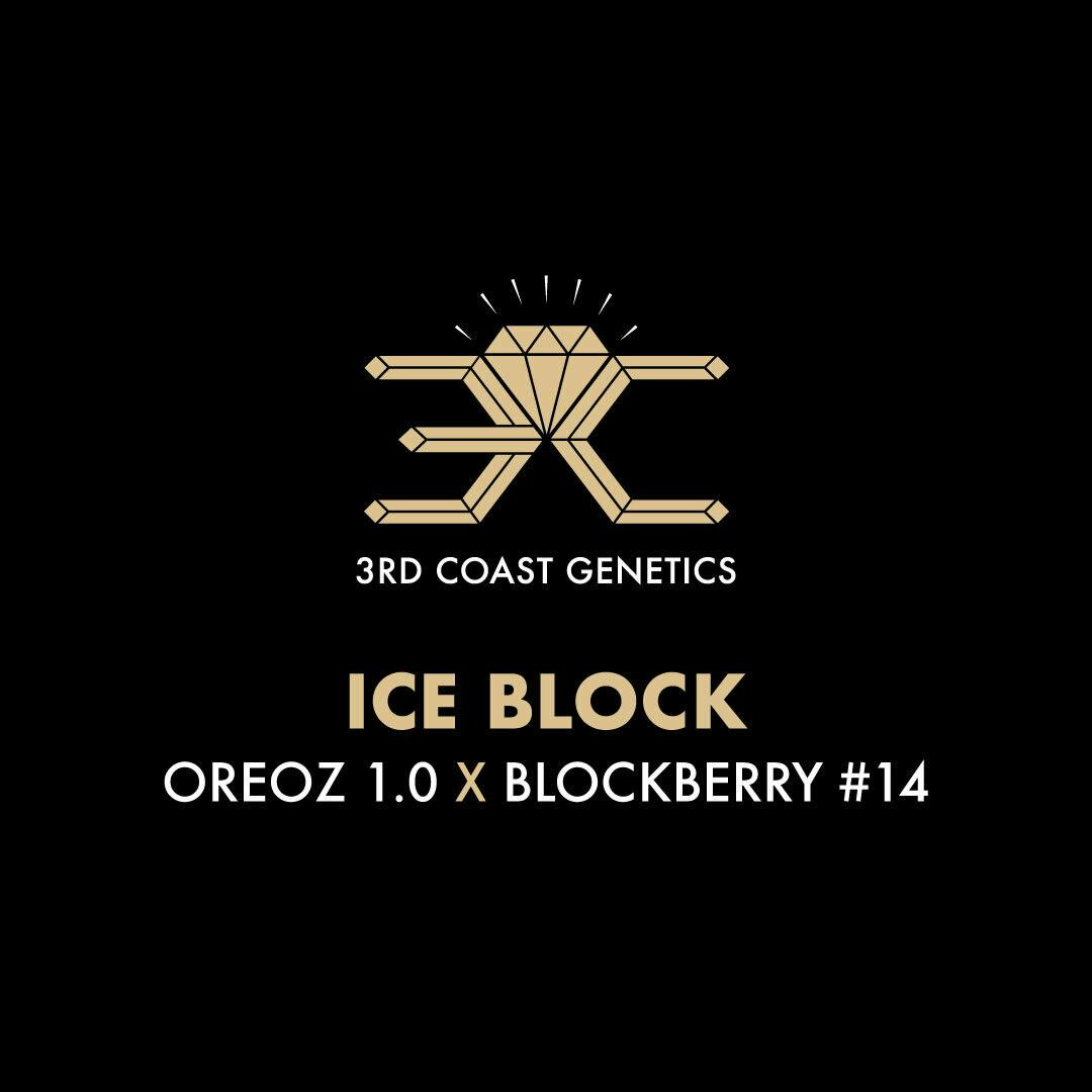 3rd Coast Genetics - 3rd Coast Genetics | Ice Block | Seeds | 10pk - 1