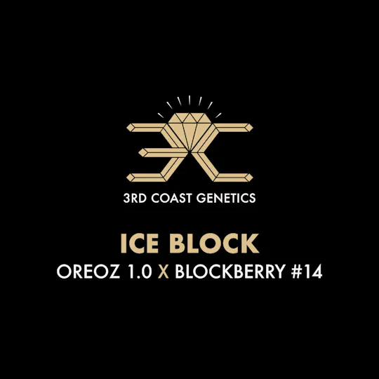3rd Coast Genetics - 3rd Coast Genetics | Ice Block | Seeds | 10pk - 1
