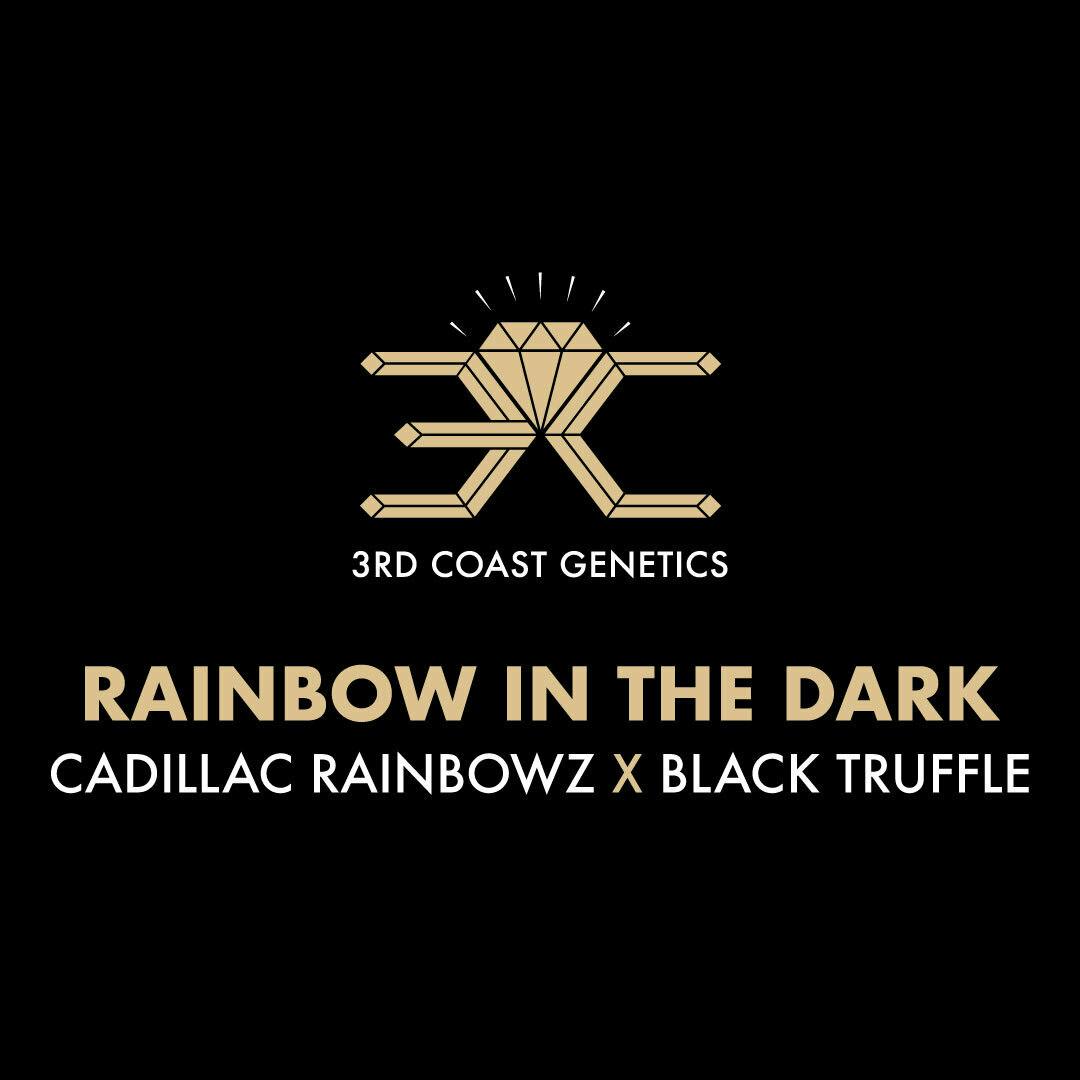 3rd Coast Genetics - 3rd Coast Genetics | Rainbow in the Dark | Seeds | 10pk - 1