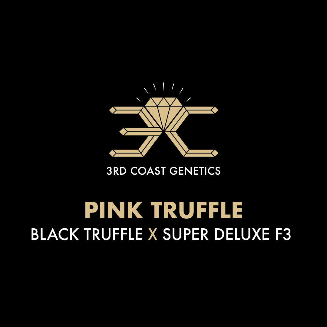 3rd Coast Genetics - 3rd Coast Genetics | Pink Truffle | Seeds | 10pk - 1