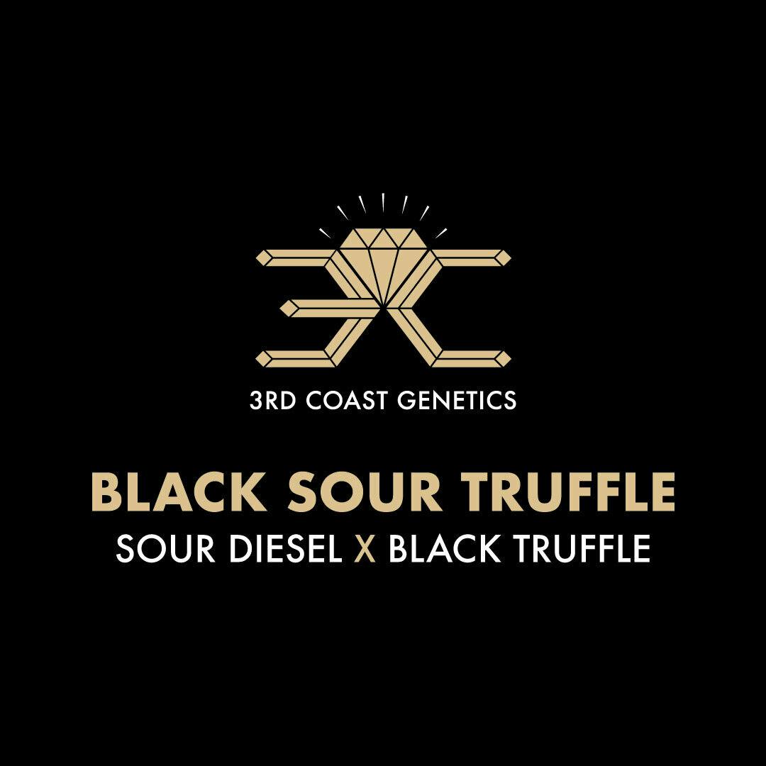 3rd Coast Genetics - 3rd Coast Genetics | Black Sour Truffle | Seeds | 10pk - 1
