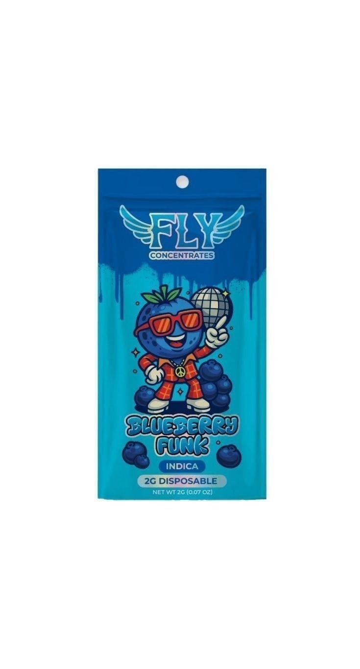 Fly - Fly | Blueberry Funk | Disposable | 2g - 1
