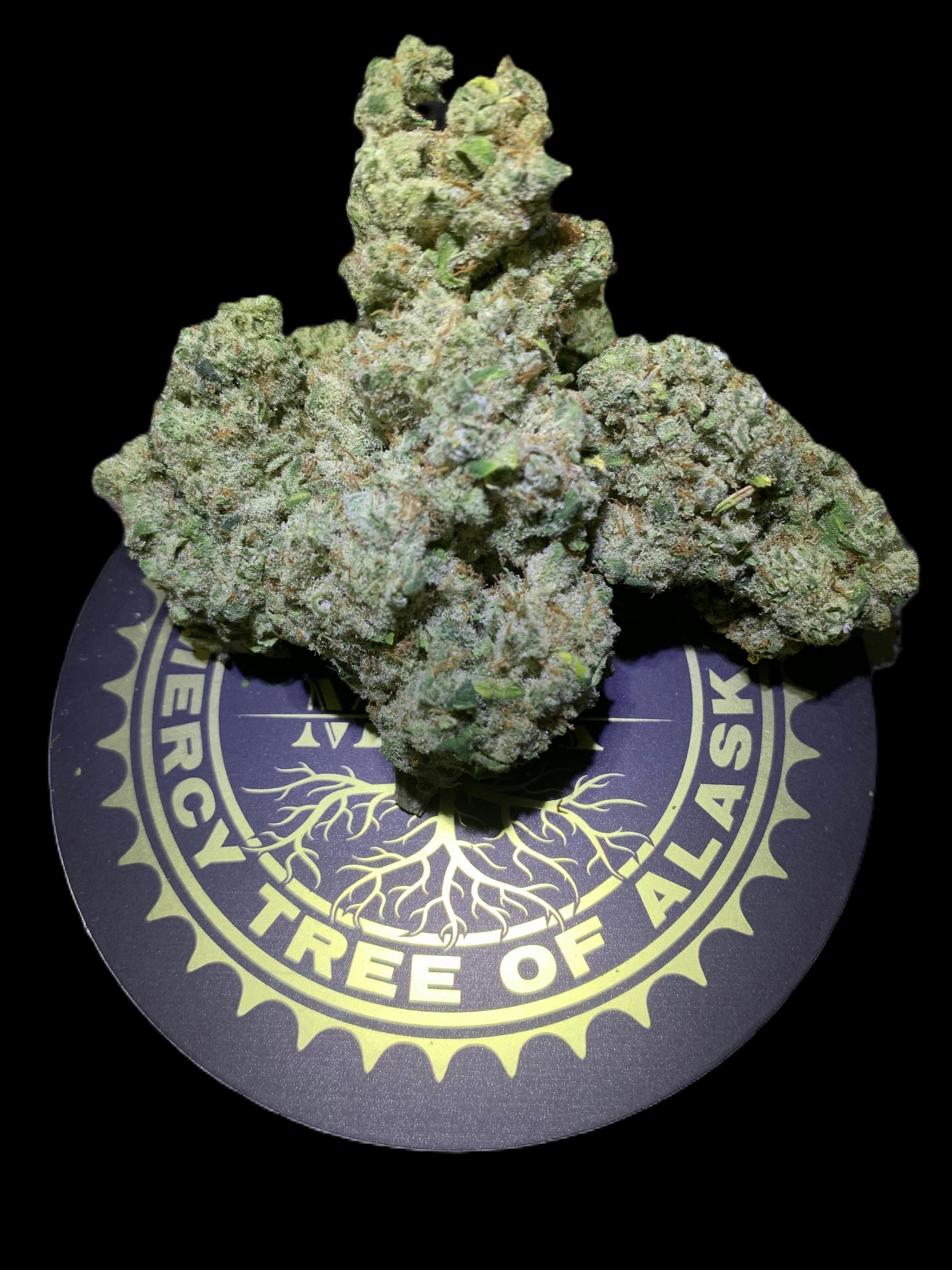 Mercy Tree of Alaska - Blue Kush - 1