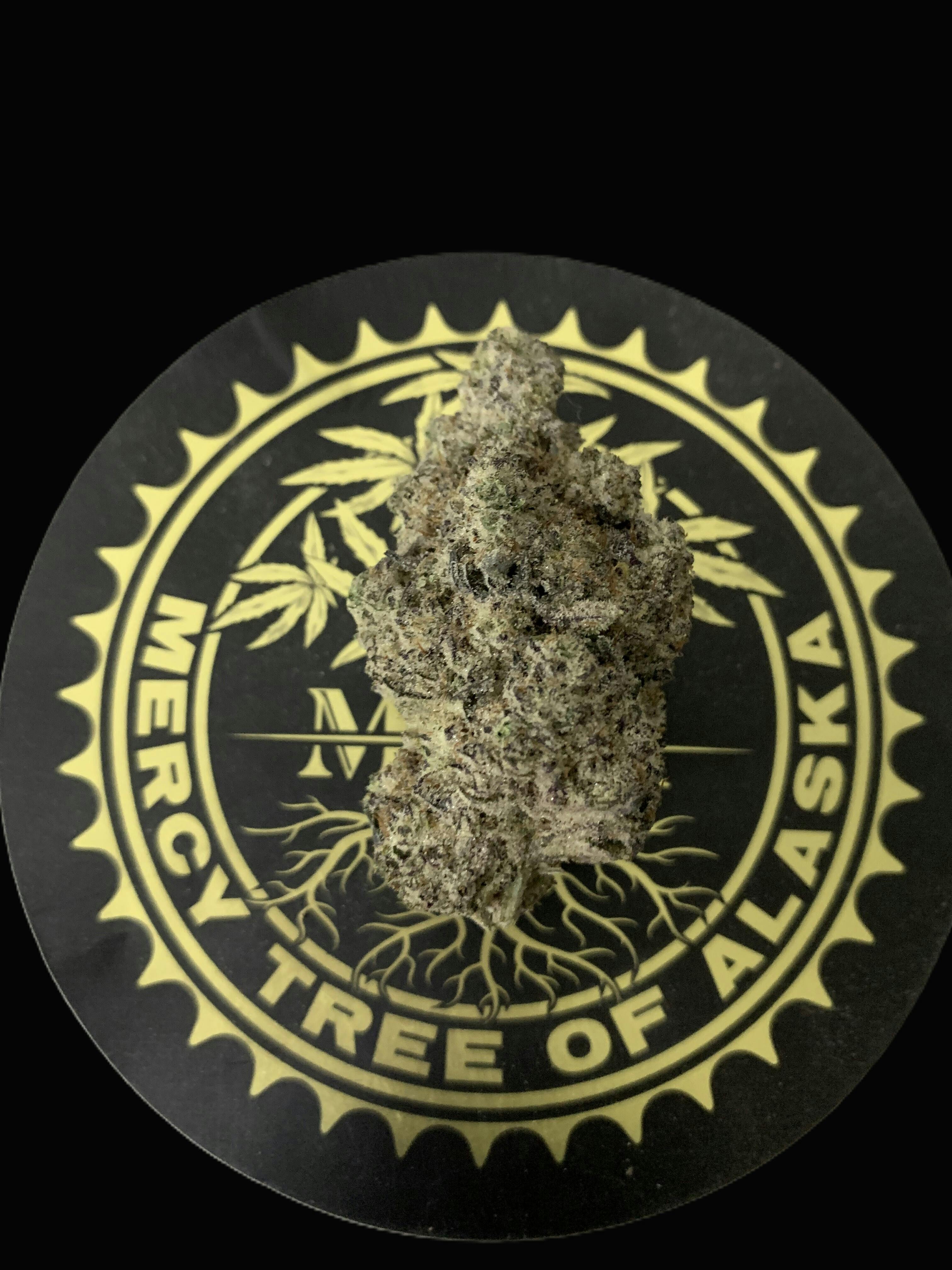 Mercy Tree of Alaska - Triple Chocolate Chip - 1