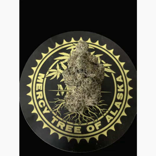 Mercy Tree of Alaska - Triple Chocolate Chip - 1