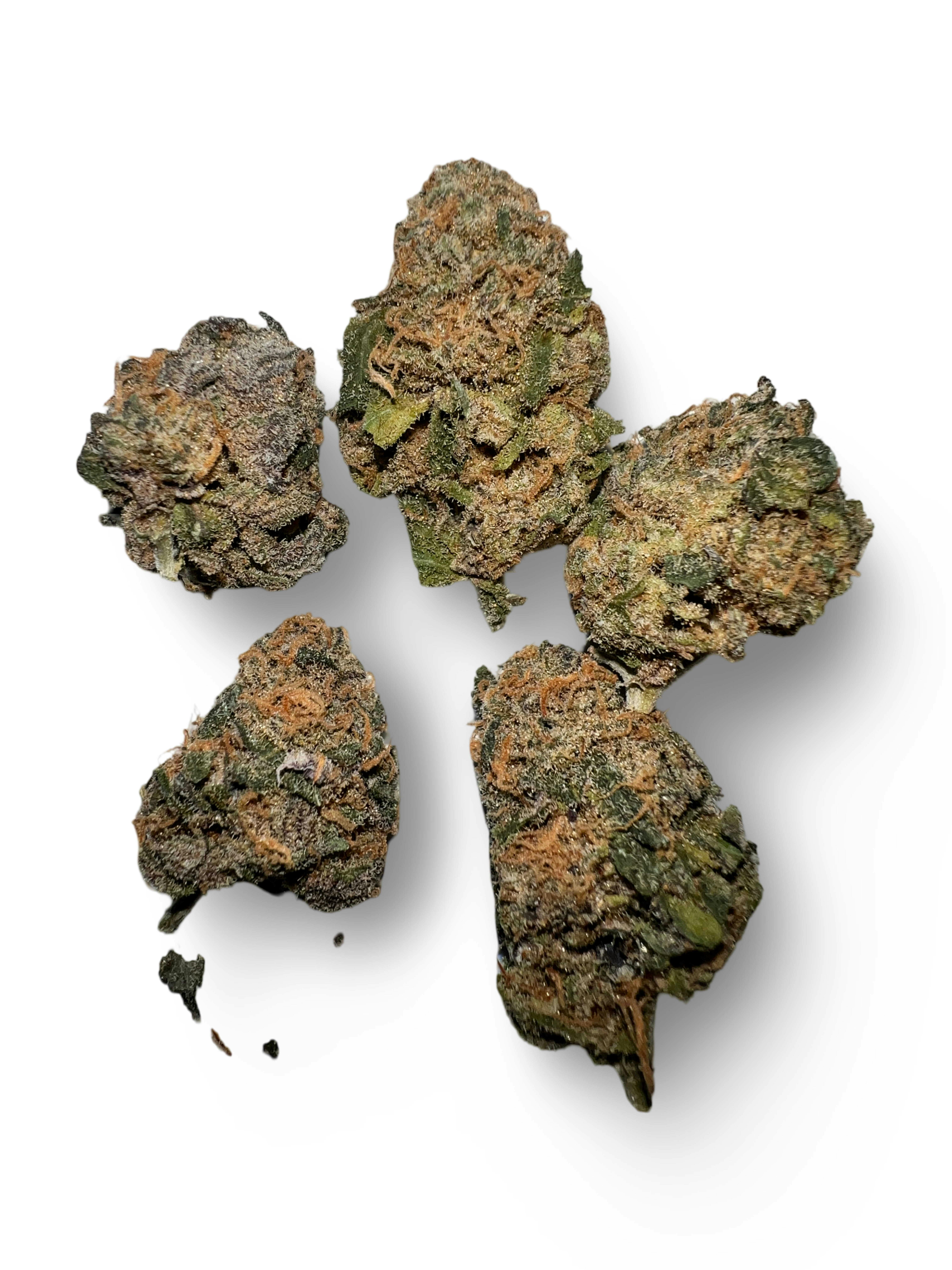 Indico - GDP $100 Oz - Indico - 1