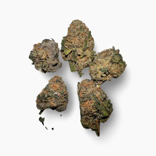Indico - GDP $100 Oz - Indico - 1