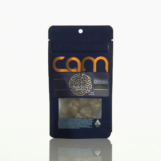 CAM - CAM | Glue Stick | Big Buds | 7g - 1