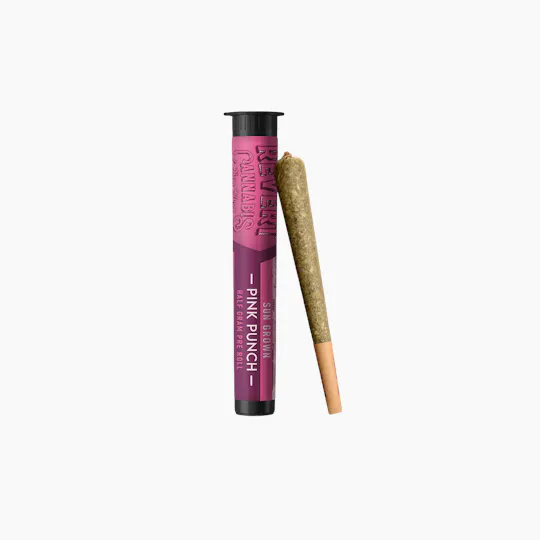 Revert - Revert | Pink Punch | Joints | 0.5g - 1
