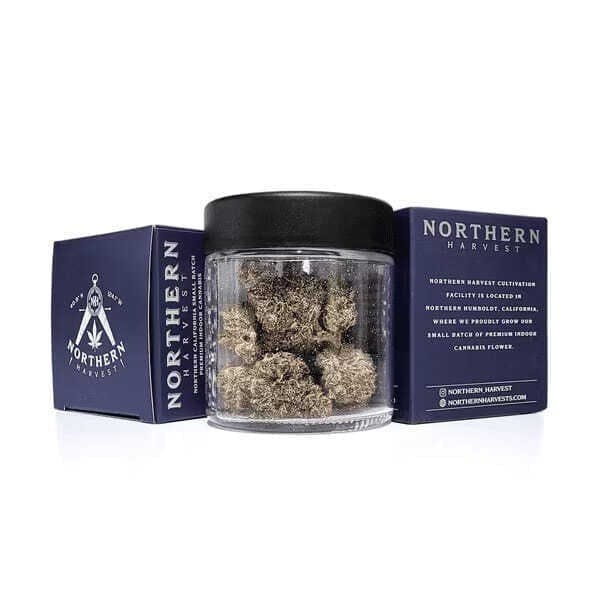 Northern Harvest - Northern Harvest | Blackberry Gelato | Big Buds |3.5g - 1