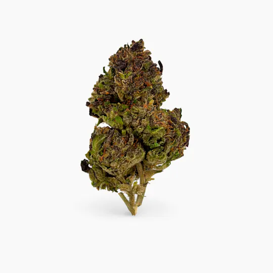 Magic Brothers - Jet Fuel Gelato (Hybrid) - Premium Flower - 1/2oz. 14g. - 1