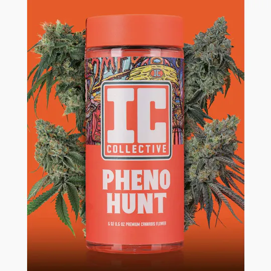 IC Collective - ICC | Pheno Hunt | Big Buds | 14G - 1