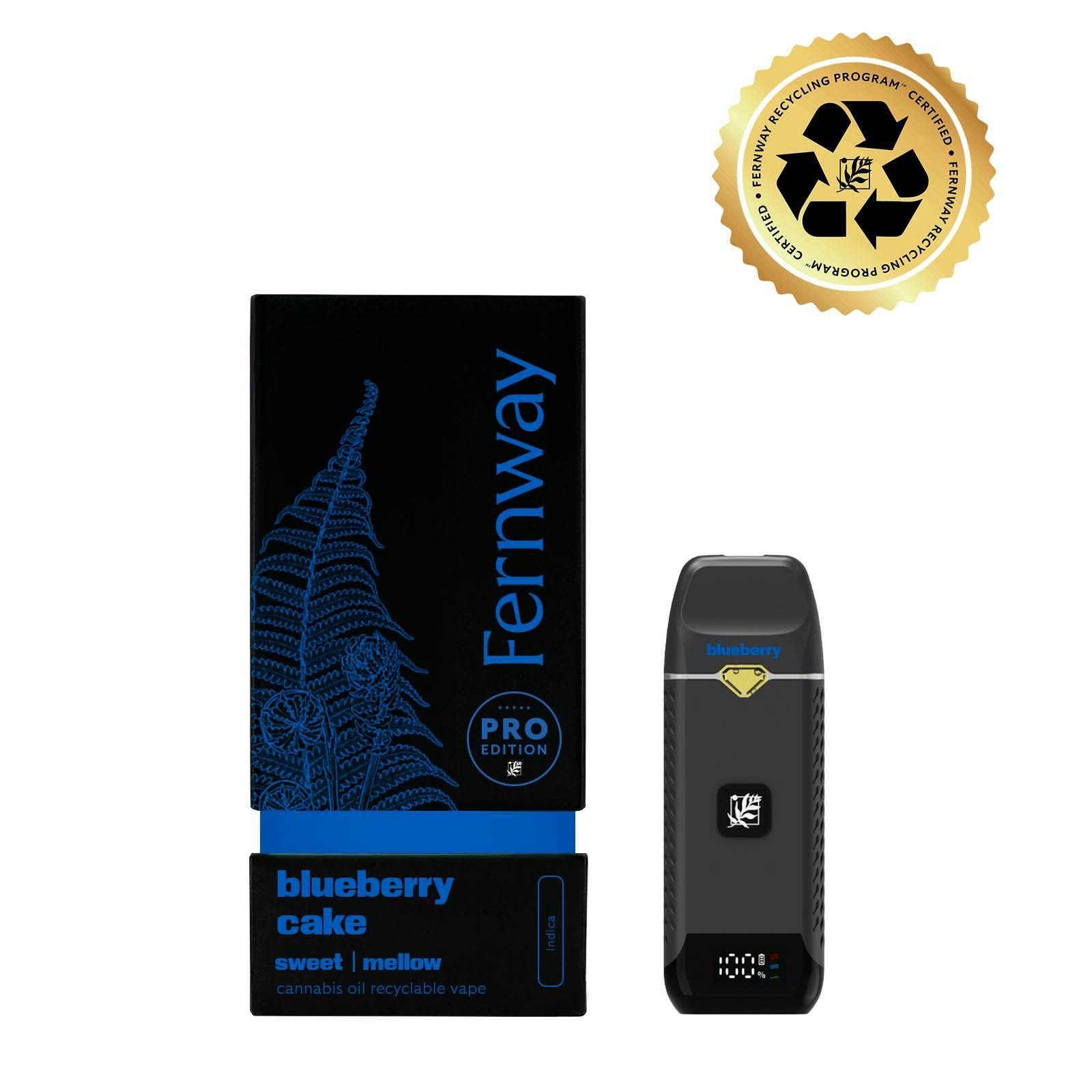 Fernway - Blueberry Cake | Flavor Line | All-In-One Traveler PRO | 1.0g - 1