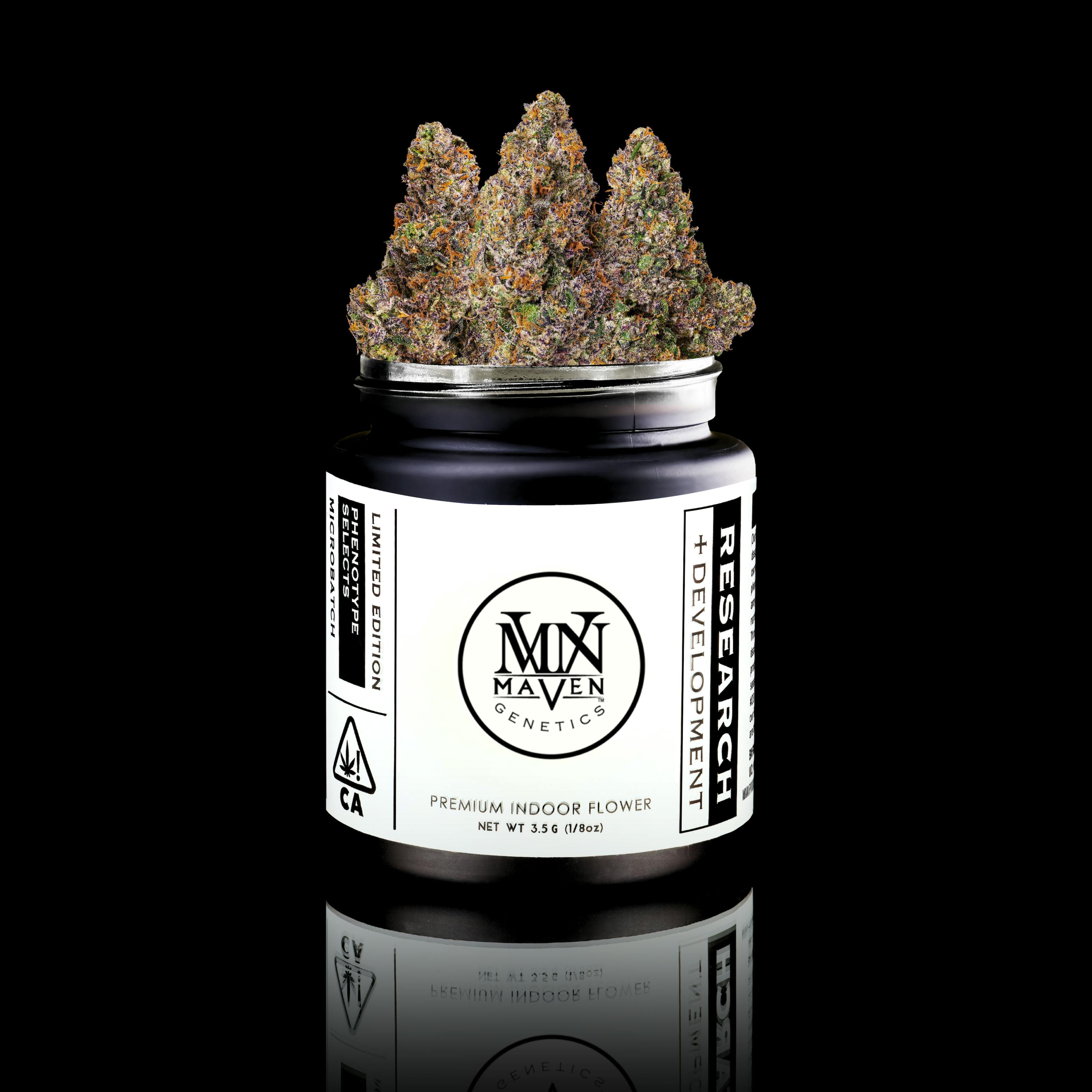 Maven Genetics - Prizm x RS-X #5 [3.5g] - 1