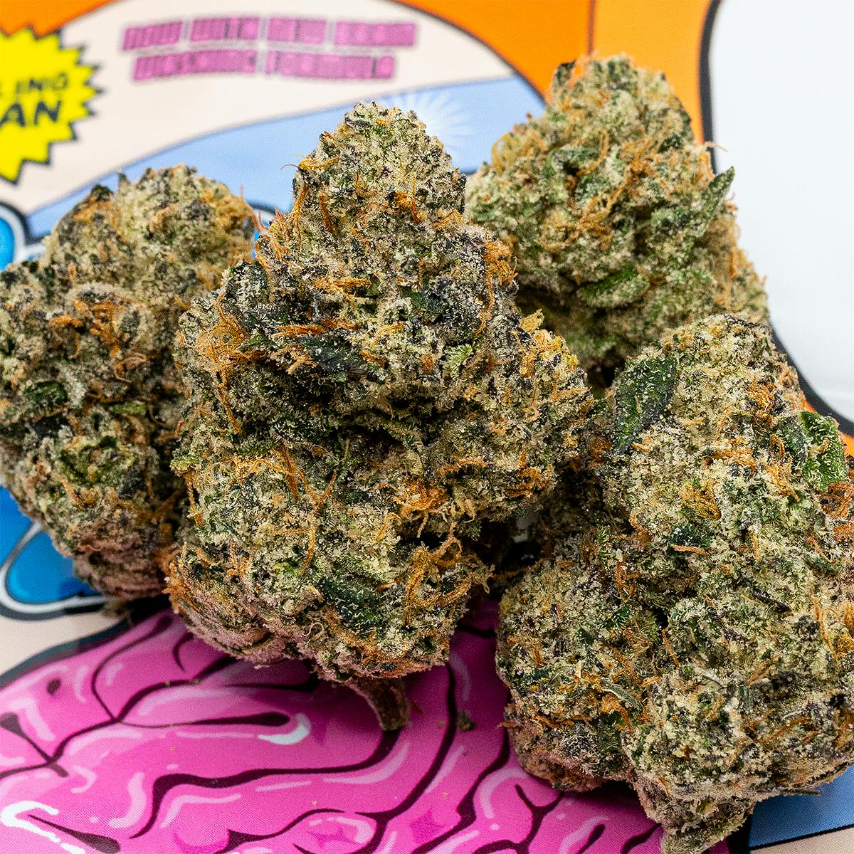 TEDS BUDZ - Brain Wash - 1
