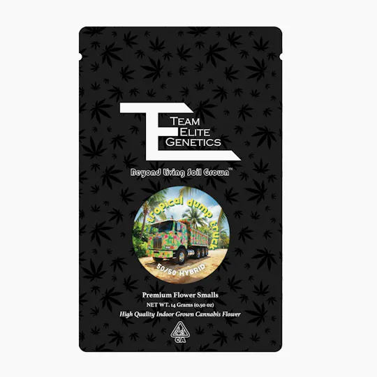 Team Elite Genetics - Tropical Dump Truck | Smalls | 14g - 1