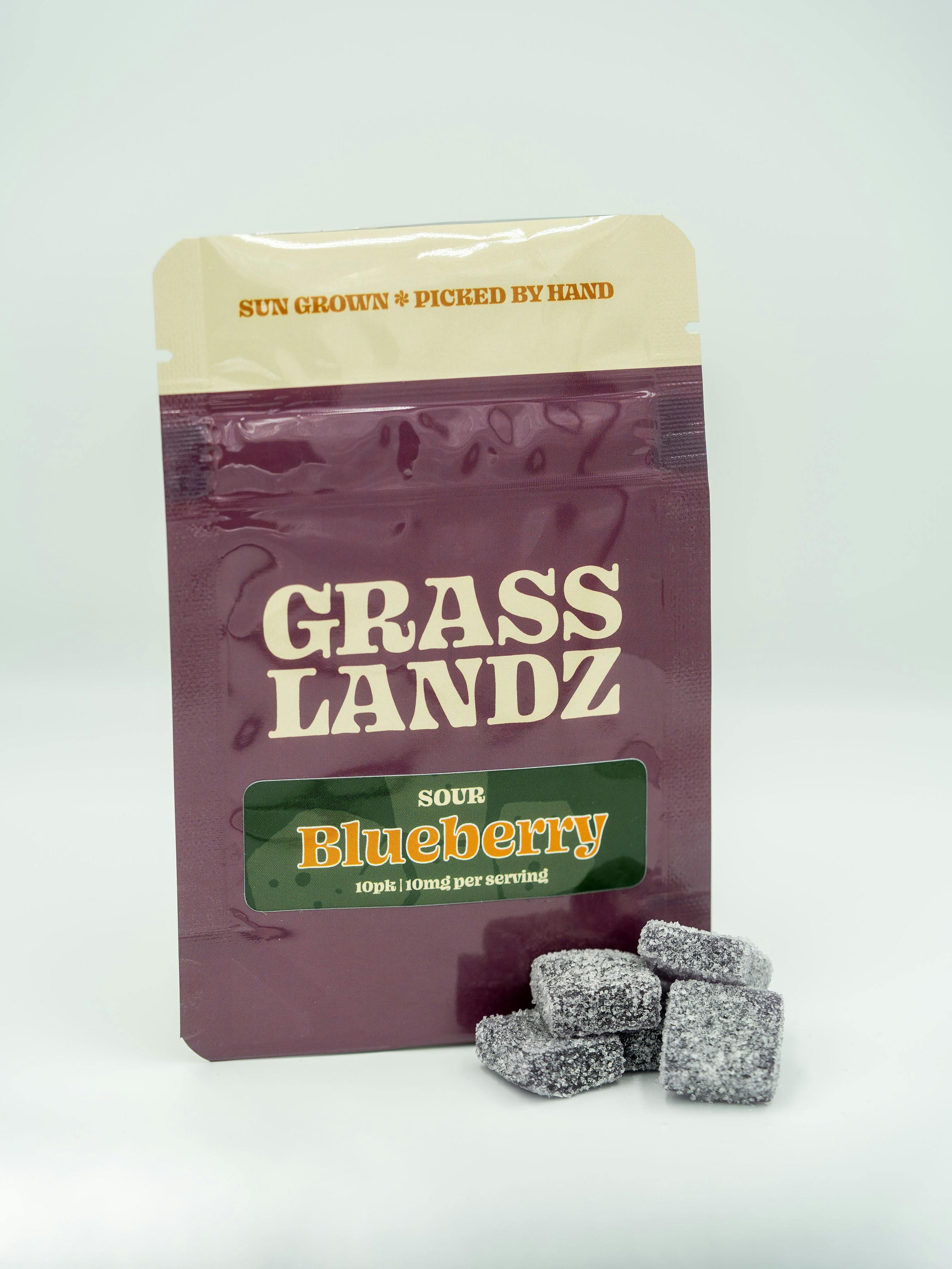 Grasslandz - Grasslandz | Sour Blueberry Gummies | 100mg | 10 ct | 10 mg/ea - 1