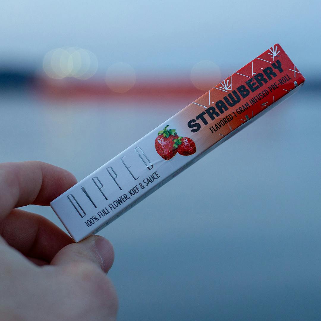 Dipped - Dipped | Strawberry | Infused Joint | 1g - 1