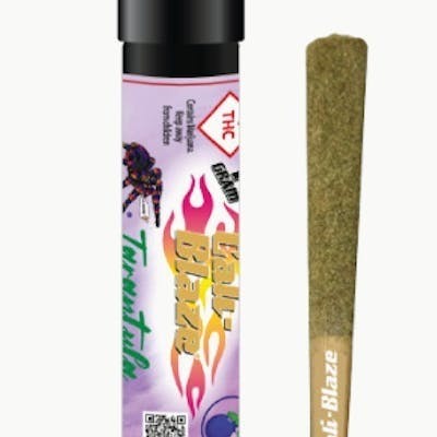 Cali-Blaze - Cali-Blaze | Orange Cookie Chem | Infused Pre Roll | 3g - 1