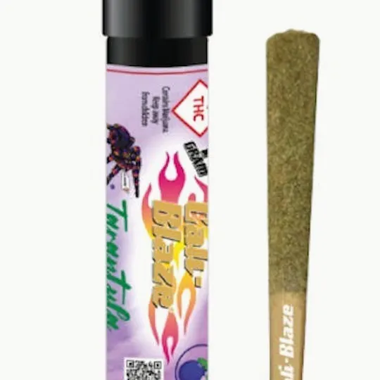 Cali-Blaze - Cali-Blaze | Orange Cookie Chem | Infused Pre Roll | 3g - 1
