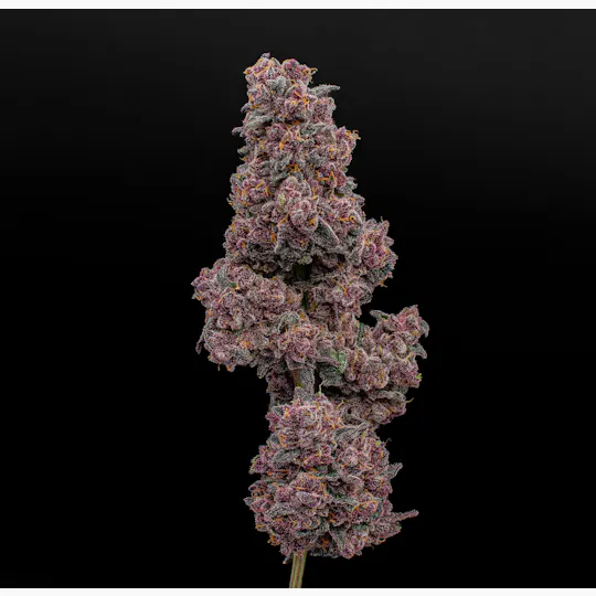 Green Dynasty - Green Dynasty | Glazed Ice | Joint | 1g - 1