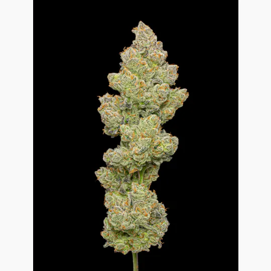 Green Dynasty - Green Dynasty | Super Green Crack | Joint | 1g - 1