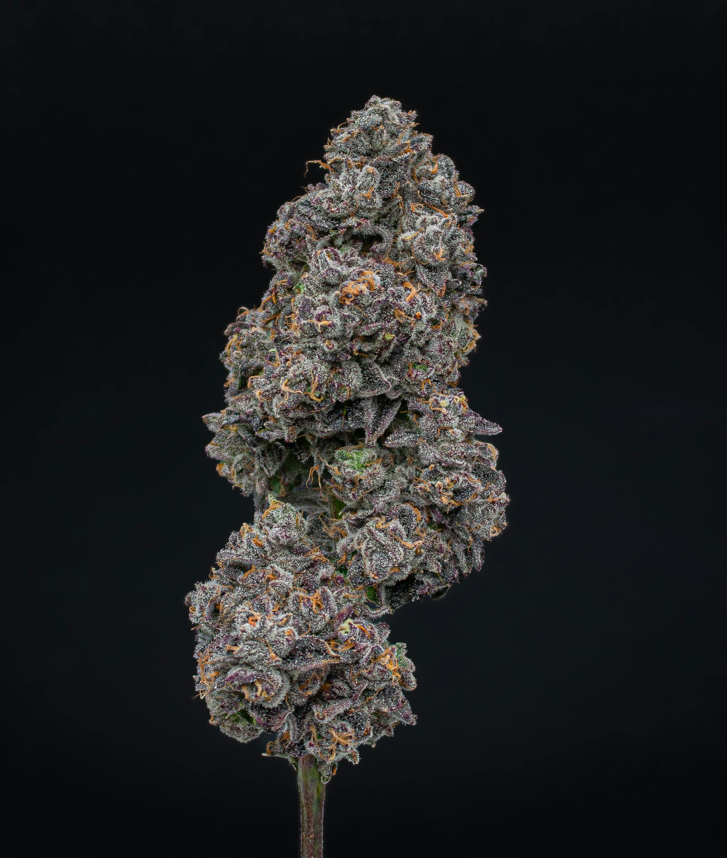 Green Dynasty - Green Dynasty | Permanent Marker | Joint | 1g - 1