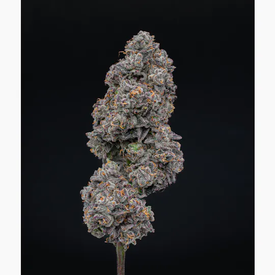 Green Dynasty - Green Dynasty | Permanent Marker | Joint | 1g - 1