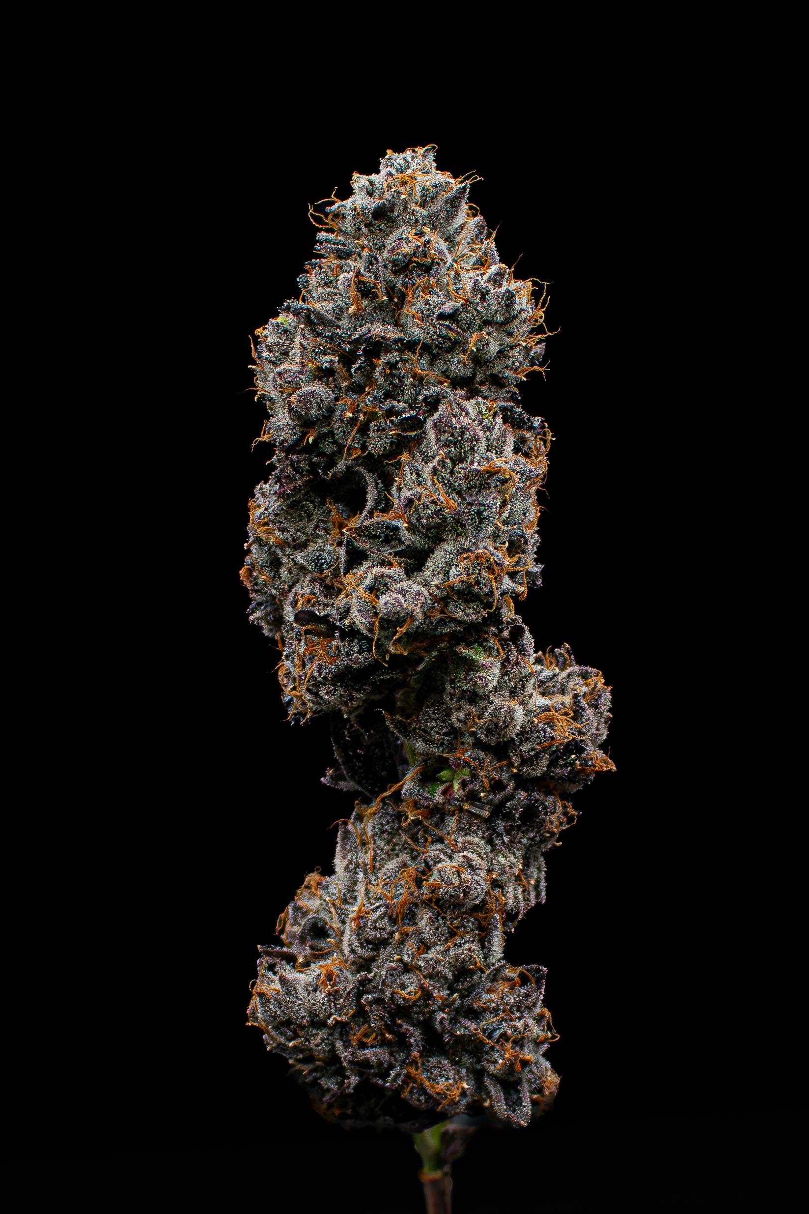 Green Dynasty - Green Dynasty | ZaLatto | Infused Joints | 0.5g each | 3pk - 1