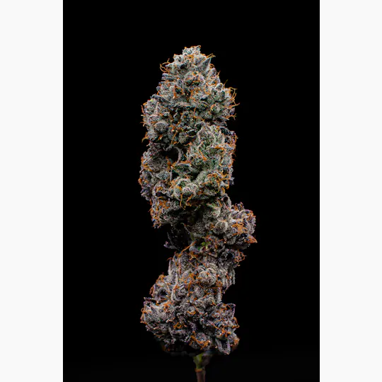 Green Dynasty - Green Dynasty | ZaLatto | Infused Joints | 0.5g each | 3pk - 1