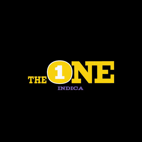 Green Dynasty - Green Dynasty | The One | Cured Big Buds | 3.5g - 1