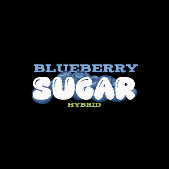 Green Dynasty - Green Dynasty | Blueberry Sugar | Value Big Buds | 3.5g - 1