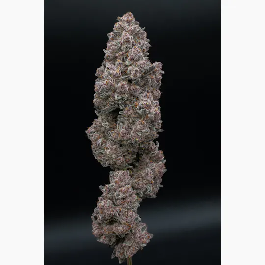 Green Dynasty - Green Dynasty | Sub Zero | Joint | 1g - 1