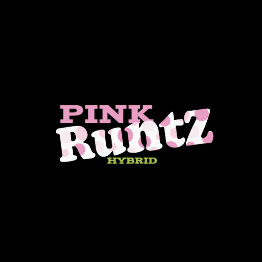 Green Dynasty - Green Dynasty | Pink Runtz | Cured Big Buds | 3.5g - 1